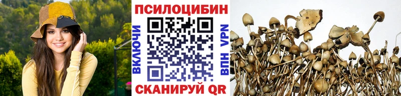 Галлюциногенные грибы Magic Shrooms  закладки  Новоалтайск 